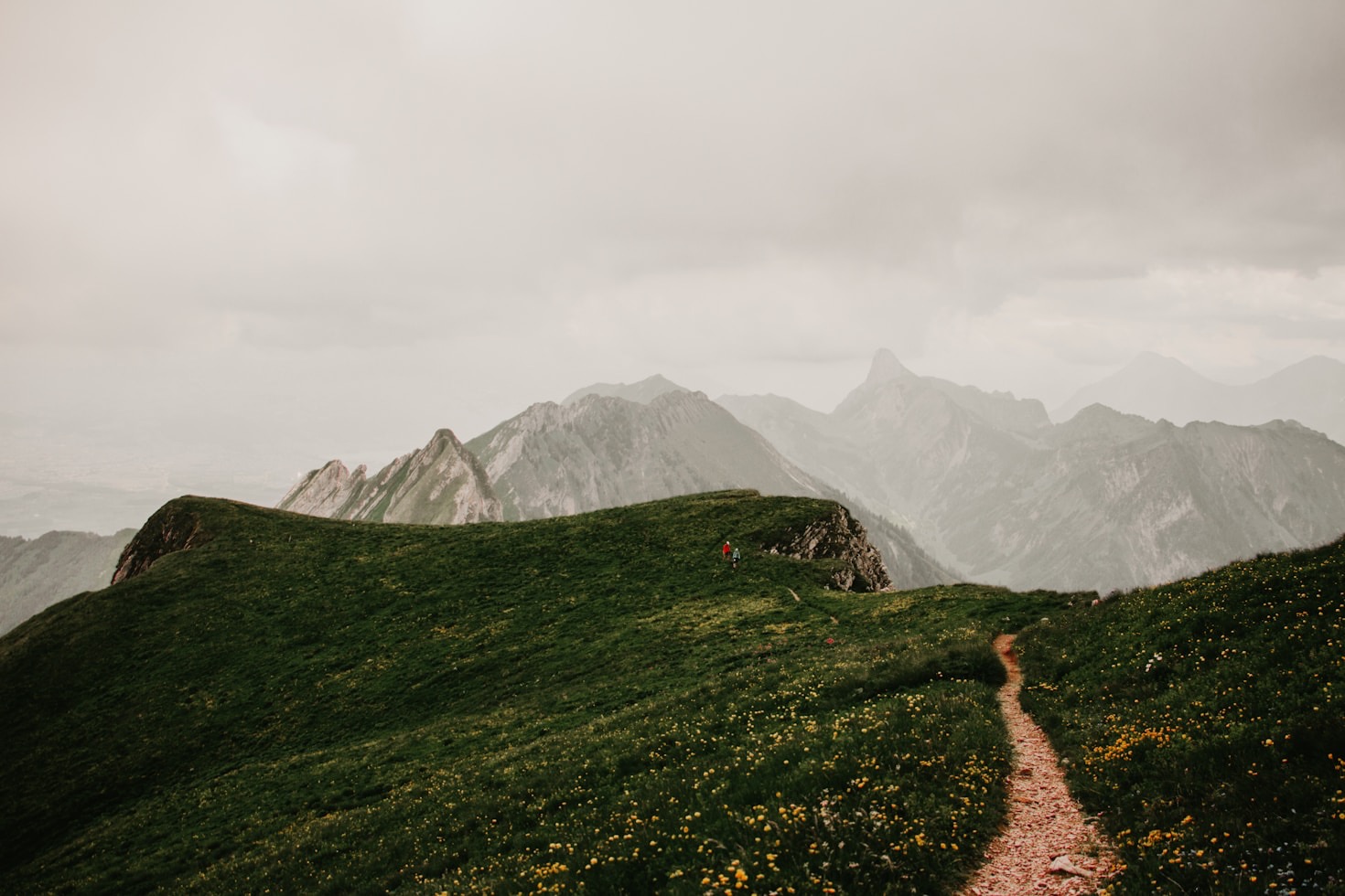 Behind the Lens: Capturing Nature’s Majesty