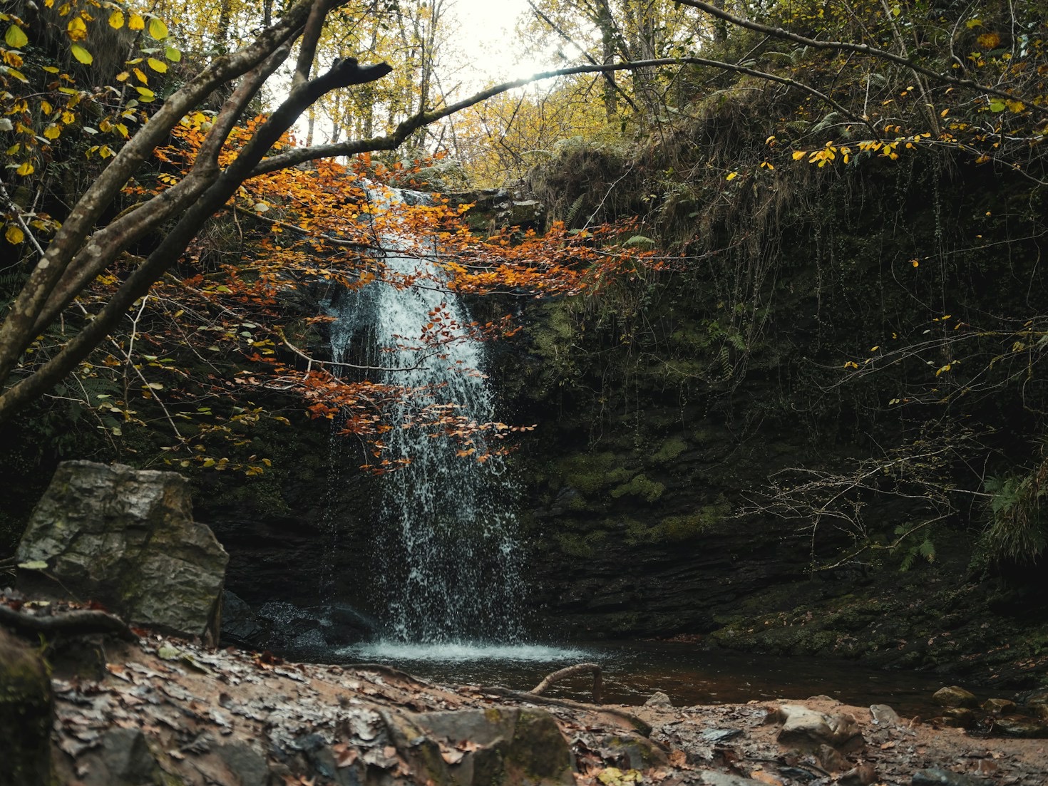 From Landscapes to Close-Ups: Versatile Photography