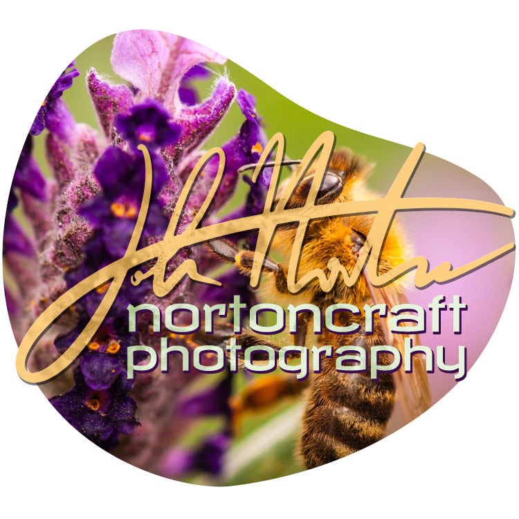 Nortoncraft Photography Logo 1